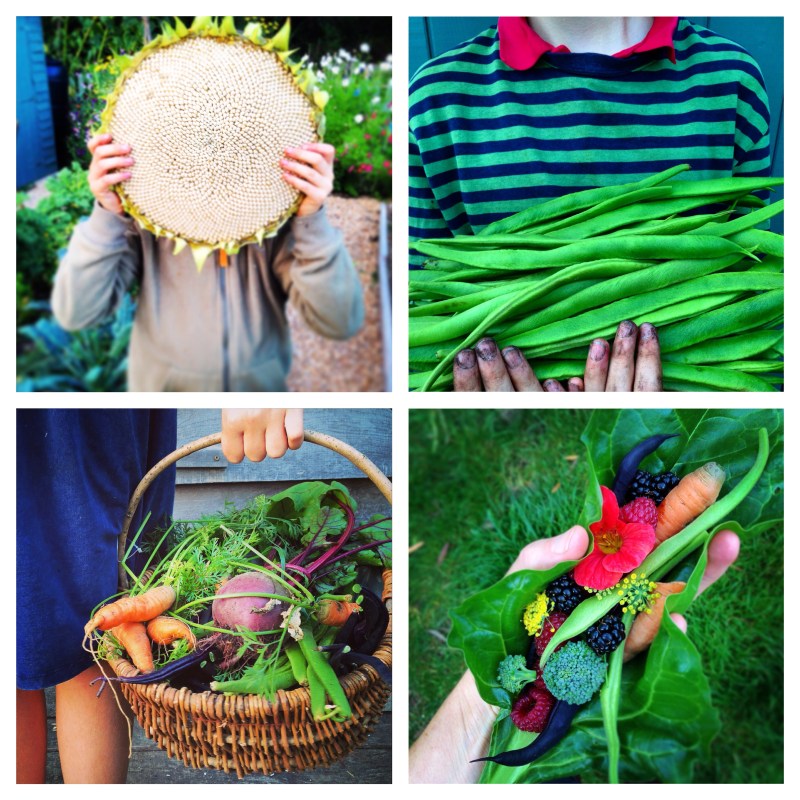 Processed with Moldiv