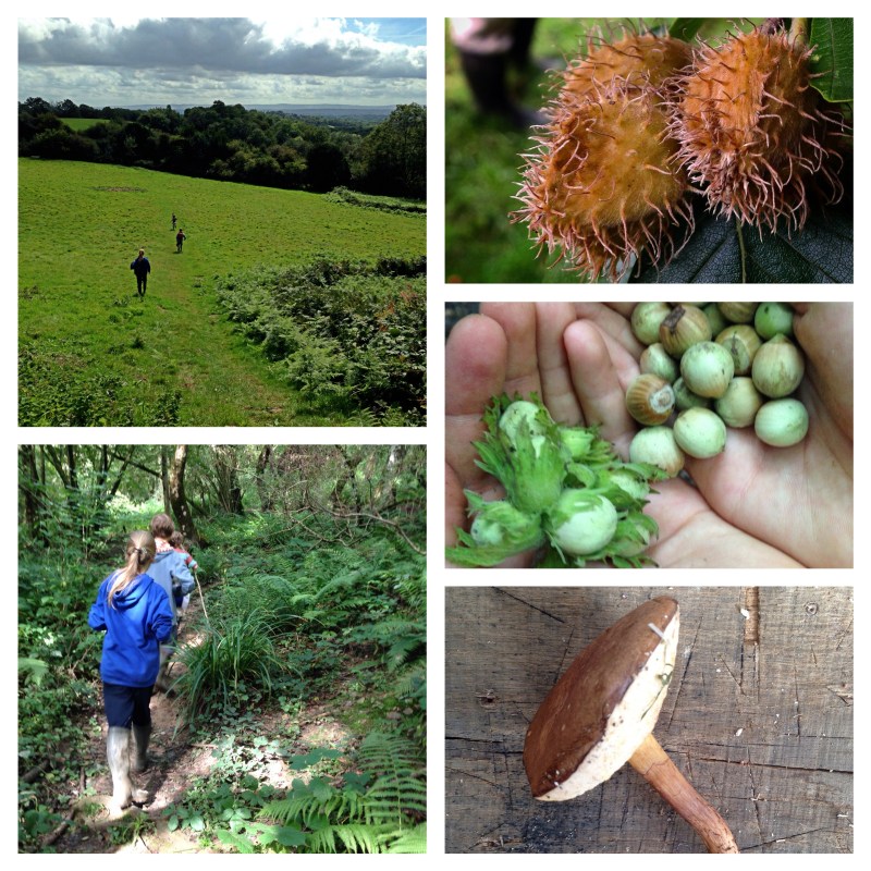 Processed with Moldiv