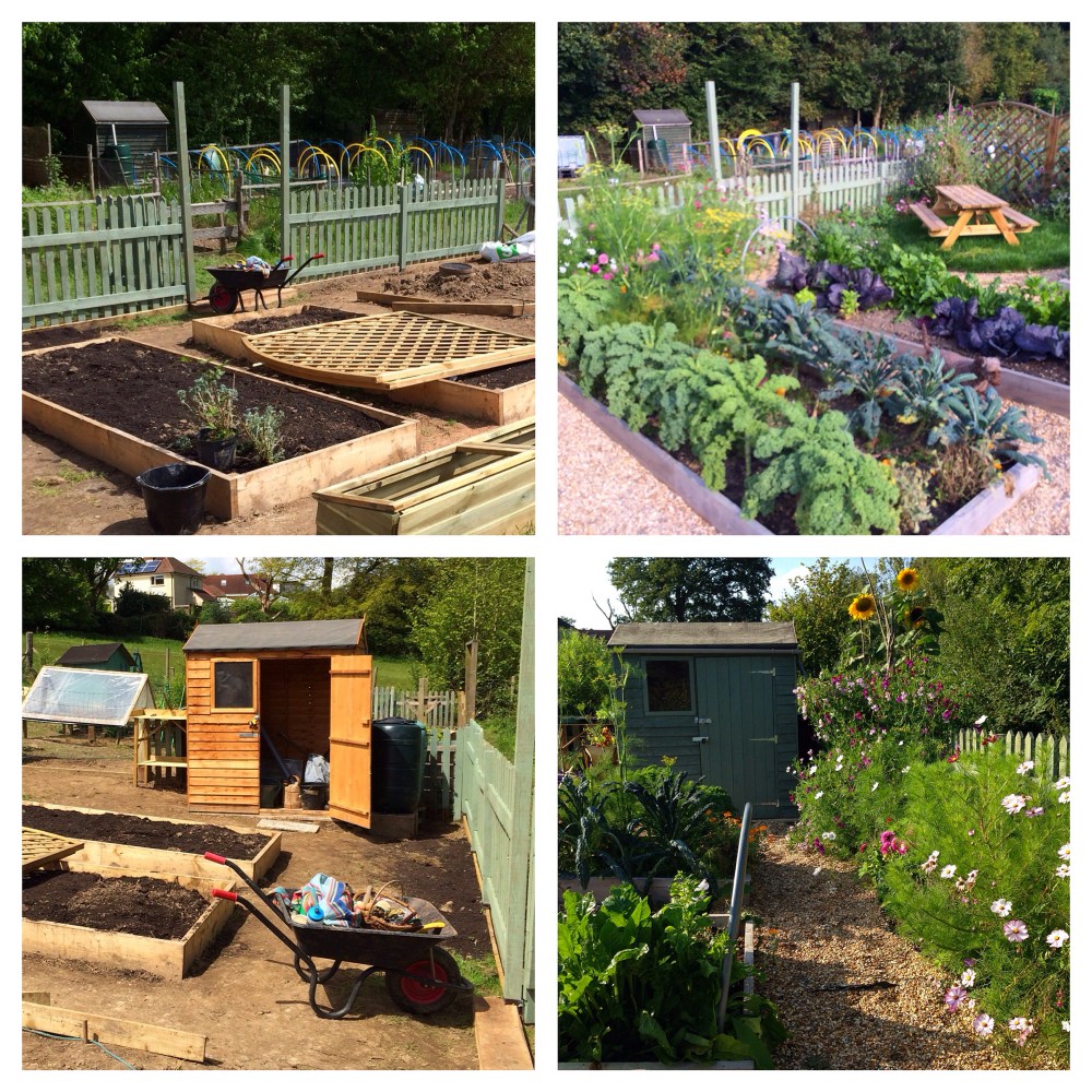 Processed with Moldiv