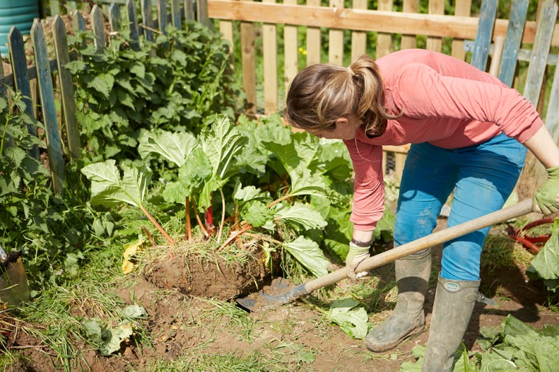 20140506DKBD00018 copy