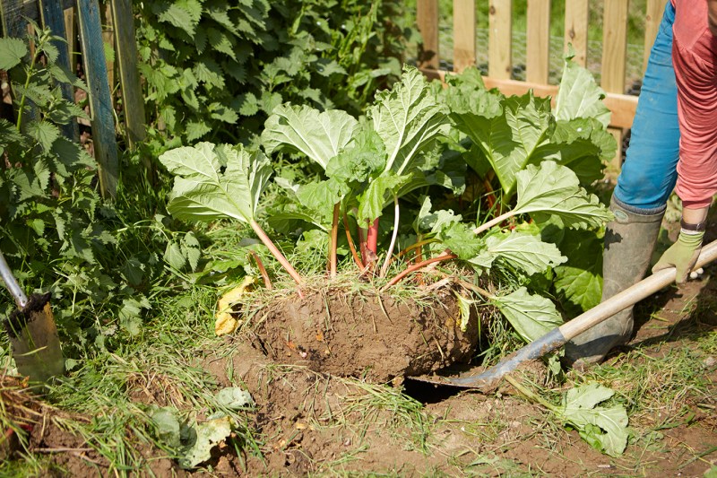 20140506DKBD00022 copy